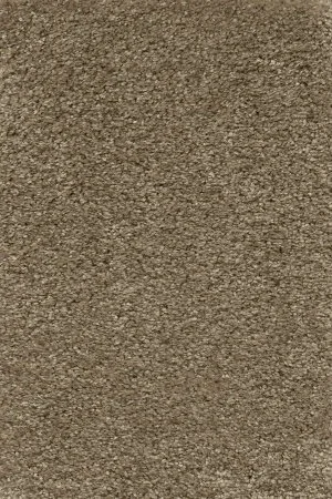 Ковровое покрытие AW Certosa 35 - (5м) в Новосибирске