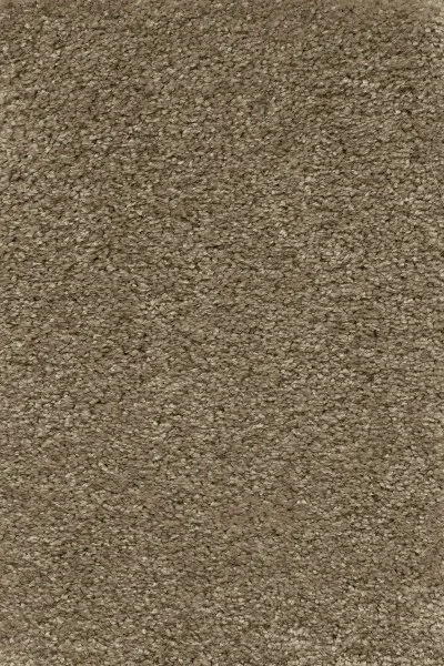 Ковровое покрытие AW Certosa 35 - (5м) в Новосибирске