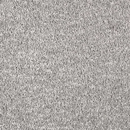 Ковровое покрытие AW Kiama 97 - (4м) в Новосибирске