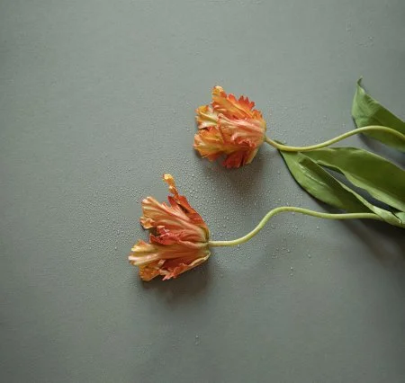 Обои Loymina Russian Classic Ru10, 006 в Новосибирске