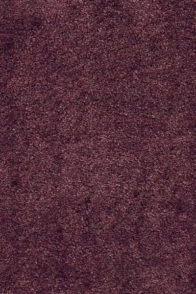 Ковровое покрытие AW Fedone 19 - (5м) в Новосибирске