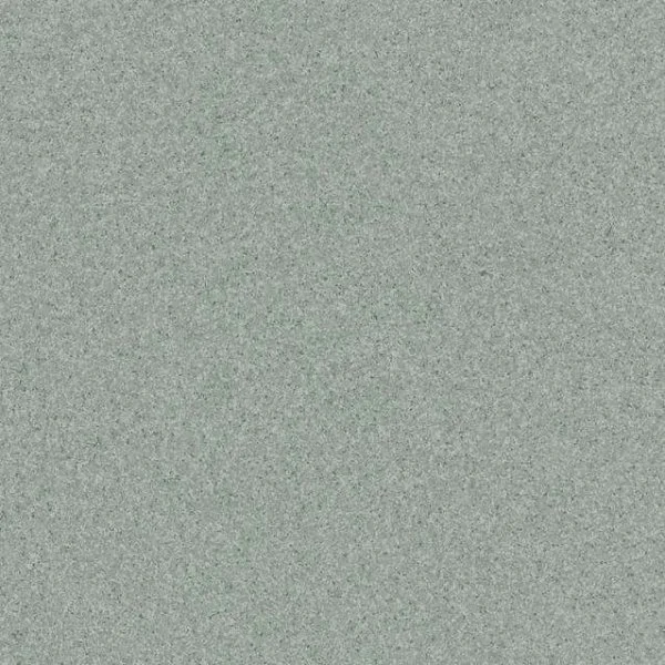 Линолеум Tarkett Primo Plus CPRPI-311 2 м в Новосибирске