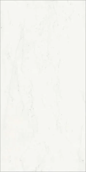 Керамогранит Italon Шарм Делюкс Бьянко Микеланджело 60х120 (Паттинированная и реттифицированная) в Новосибирске