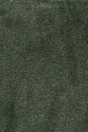 Ковровое покрытие AW Fedone 24 - (5м) в Новосибирске