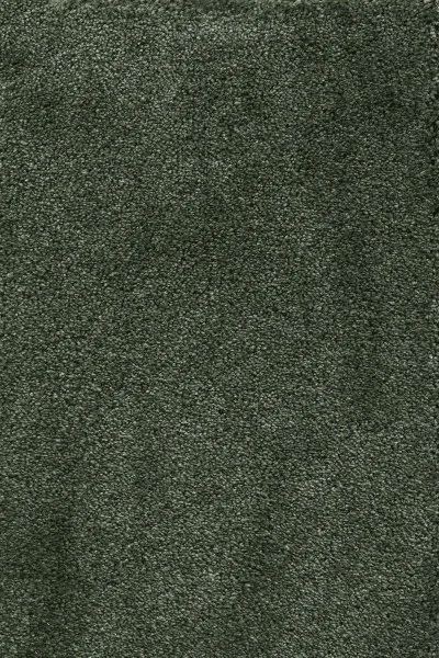 Ковровое покрытие AW Fedone 24 - (5м) в Новосибирске