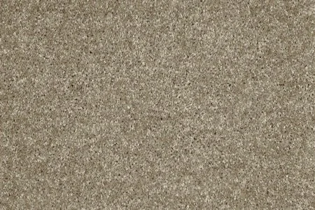 Ковровое покрытие AW Gala 33 - (4м) в Новосибирске