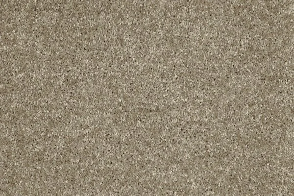 Ковровое покрытие AW Gala 33 - (4м) в Новосибирске