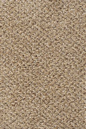 Ковровое покрытие AW Stainaway Tweed 50 - (4м) в Новосибирске
