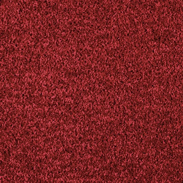 Ковровое покрытие AW Kiama 11 - (4м) в Новосибирске