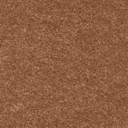 Ковровое покрытие AW Euphoria 84 - (5м) в Новосибирске