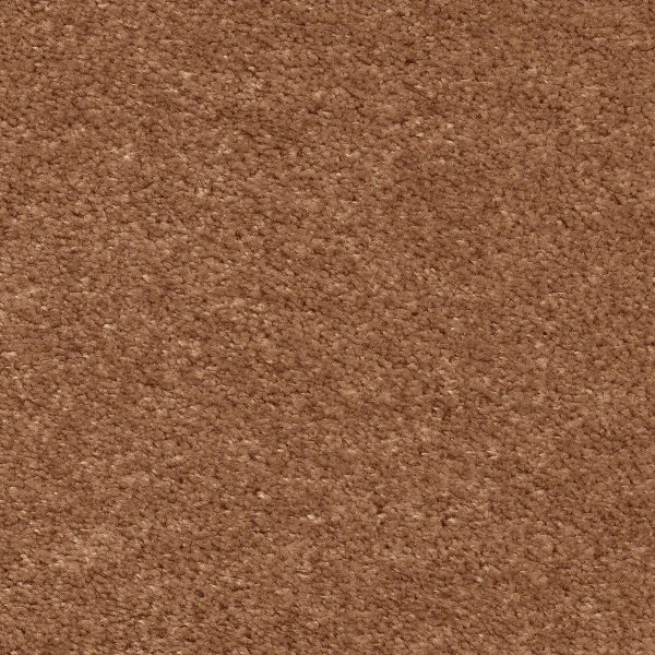 Ковровое покрытие AW Euphoria 84 - (5м) в Новосибирске