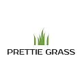 Искусственная трава Prettie Grass купить в Новосибирске по выгодной цене Искусственная трава Prettie Grass в Новосибирске