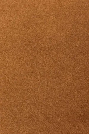 Ковровое покрытие AW Oinone 84 - (4м) в Новосибирске