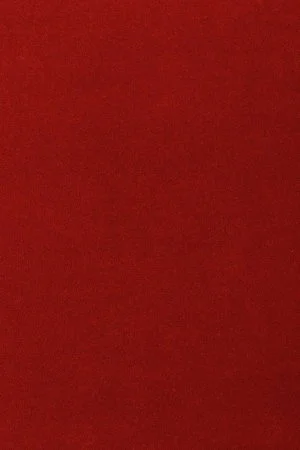 Ковровое покрытие AW Oinone 10 - (4м) в Новосибирске