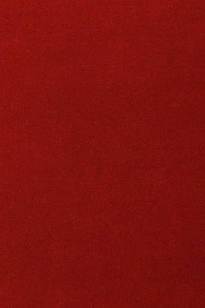 Ковровое покрытие AW Oinone 10 - (5м) в Новосибирске