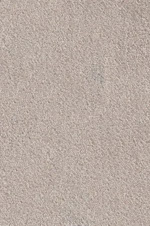 Ковровое покрытие AW Messalina 37 - (4м) в Новосибирске