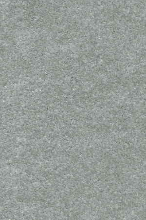 Ковровое покрытие AW Euphoria 75 - (5м) в Новосибирске