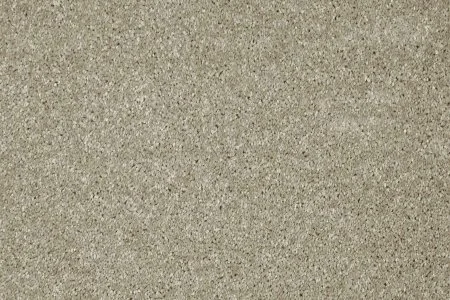 Ковровое покрытие AW Gala 03 - (5м) в Новосибирске