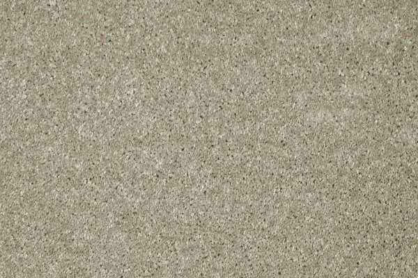 Ковровое покрытие AW Gala 03 - (4м) в Новосибирске