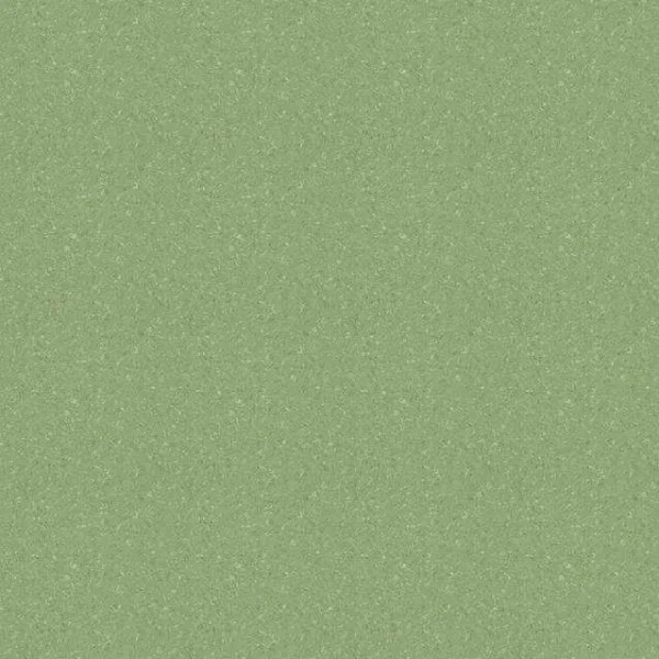 Линолеум Tarkett Tempo Plus 1009 2 м в Новосибирске