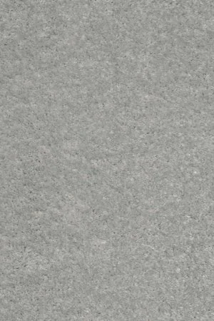 Ковровое покрытие AW Euphoria 92 - (5м) в Новосибирске