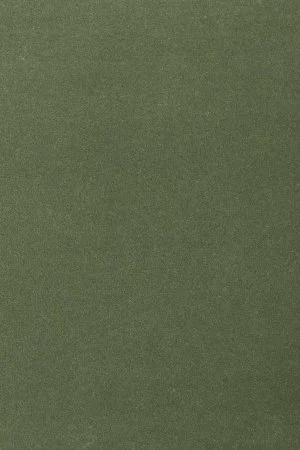 Ковровое покрытие AW Oinone 24 - (5м) в Новосибирске