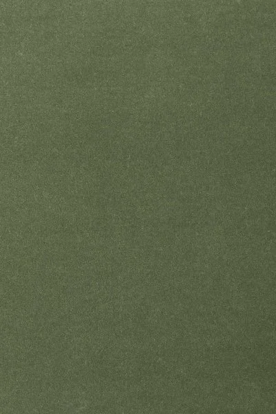 Ковровое покрытие AW Oinone 24 - (4м) в Новосибирске