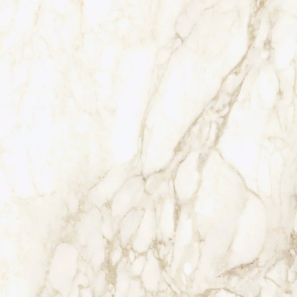 Керамогранит Coliseum Микеланджело Ворм 60х60 (Натуральный и Реттифицированный) в Новосибирске