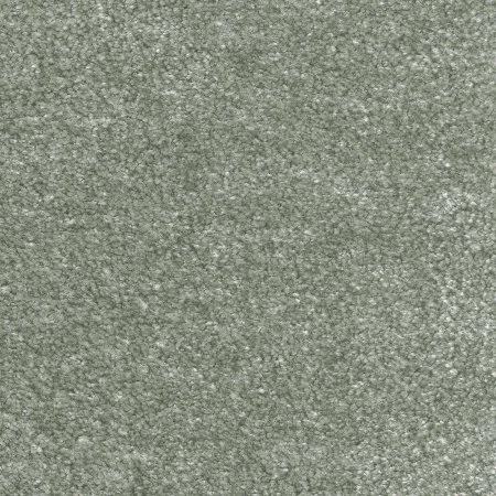 Ковровое покрытие AW Euphoria 28 - (5м) в Новосибирске