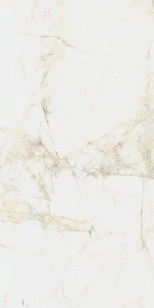 Керамогранит Coliseum Канова Уайт 60х120 (Натуральный и Реттифицированный) в Новосибирске