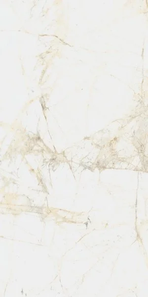 Керамогранит Coliseum Канова Уайт 60х120 (Натуральный и Реттифицированный) в Новосибирске