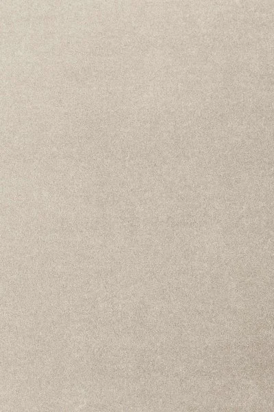 Ковровое покрытие AW Oinone 39 - (4м) в Новосибирске