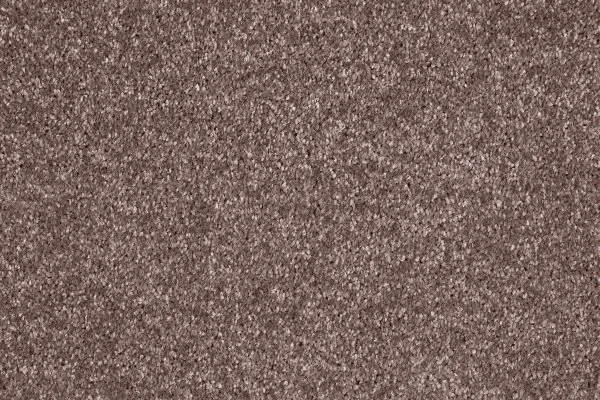 Ковровое покрытие AW Gala 60 - (5м) в Новосибирске