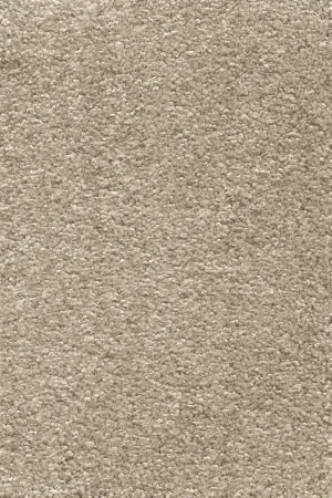 Ковровое покрытие AW Omnia 33 - (3м) в Новосибирске